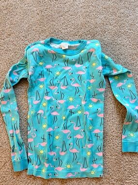 Hanna Andersson Turquoise Pink Flamingo Pajama Set